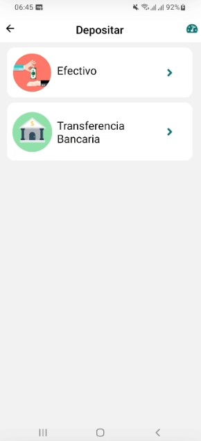 Depositar