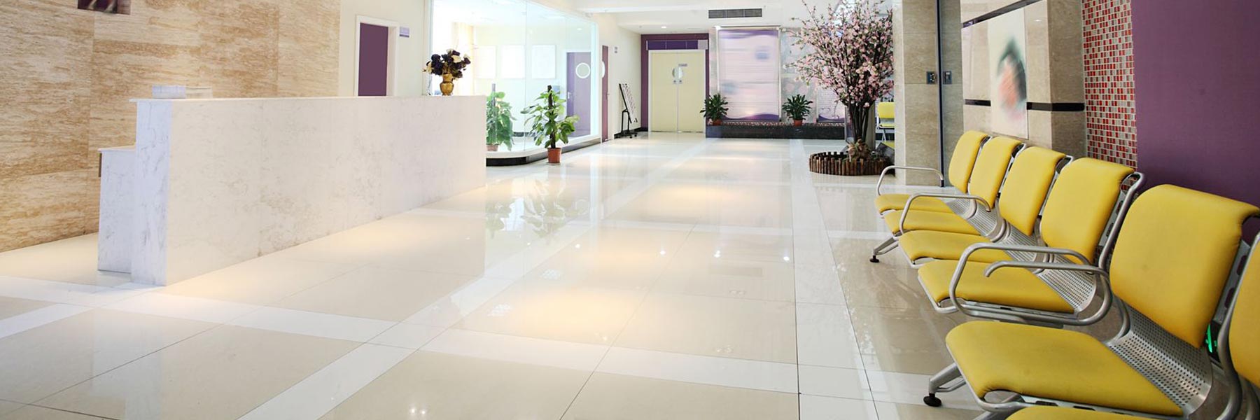 Commercial Cleaning Affordable