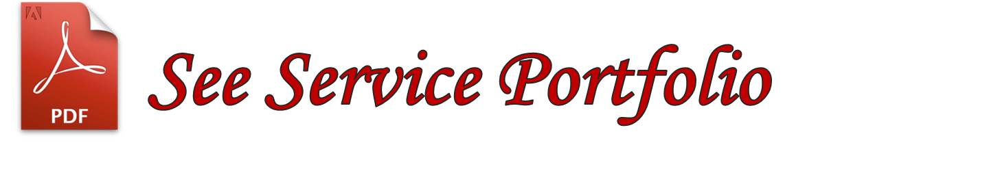 Portafolio Cleaning Affordable