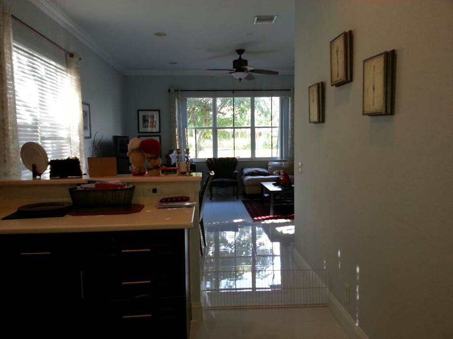 Houses Cleaning Affordable
