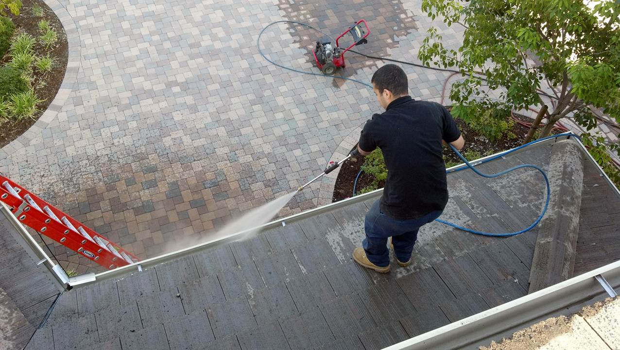 Services Cleaning Affordable